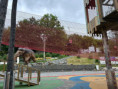 /album/skolni-vylet-skalka1/img-20250617-wa0028-jpg/