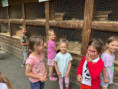/album/skolni-vylet-skalka1/img-20250617-wa0032-jpg/