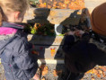 /album/barevny-podzim-ve-skolni-druzine/f2c6b29b-c690-4826-8c88-06082d3d4e0a-jpeg/