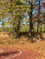 /album/barevny-podzim-ve-skolni-druzine/d3c9febe-d534-4ea1-a490-c4aaa7293d2f-jpeg/