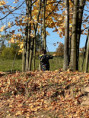 /album/barevny-podzim-ve-skolni-druzine/340b218a-7474-42e8-8328-56a75c7ef6ec-jpeg/