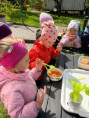 /album/objevujeme-svet-vcel/img-20260513-wa0034-jpg1/