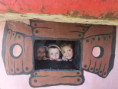 /album/vylet-na-bile/img-4937-jpg/